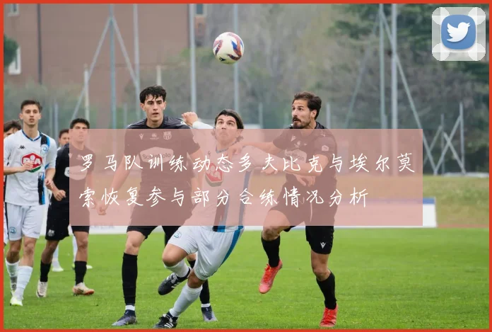 罗马队训练动态多夫比克与埃尔莫索恢复参与部分合练情况分析