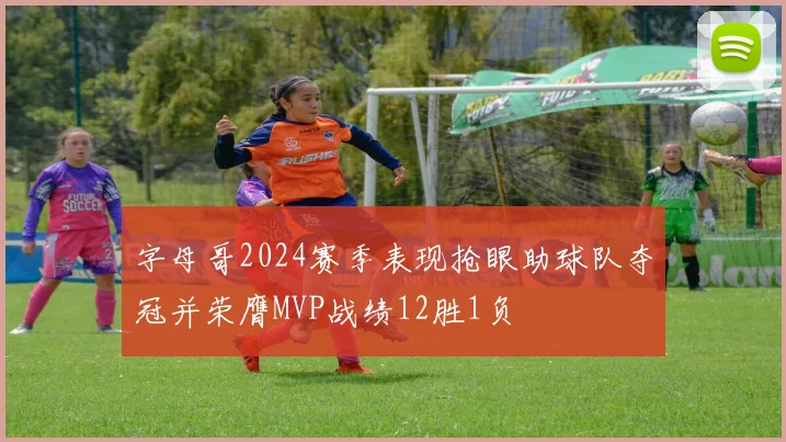 字母哥2024赛季表现抢眼助球队夺冠并荣膺MVP战绩12胜1负