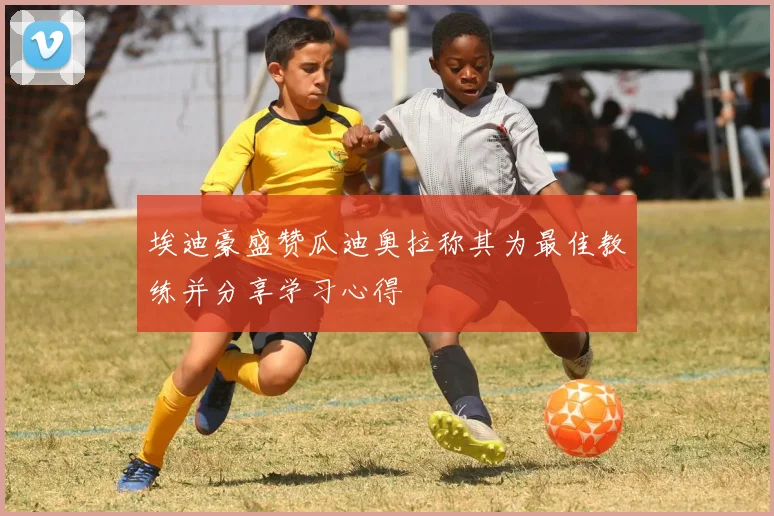 埃迪豪盛赞瓜迪奥拉称其为最佳教练并分享学习心得