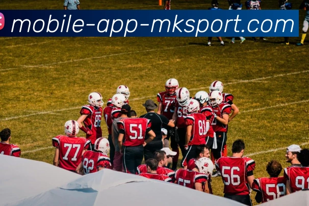 MK体育APP 高清赛事图