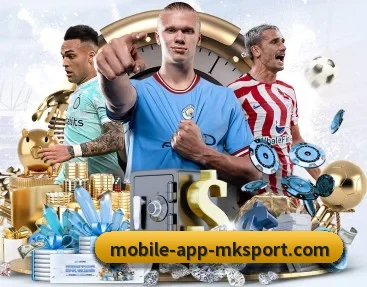 MK体育 APP - MKSPORTS